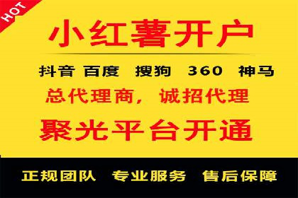 媒体平台的信息流广告代理服务案例探讨